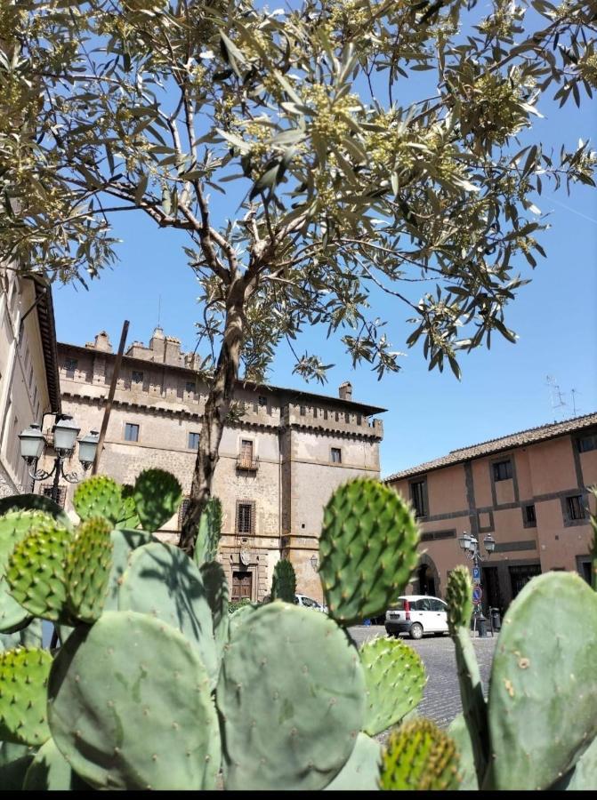 Giamevi House Apartment Vignanello Exterior photo